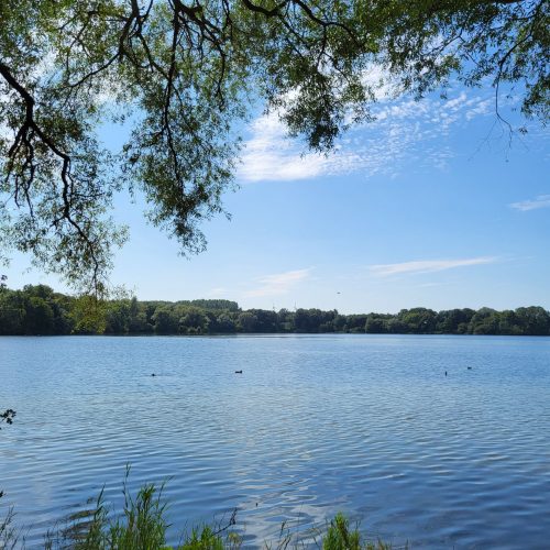 Even ontsnappen aan de boeken: Uitwaaien en actie bij De Gavers 🌿
